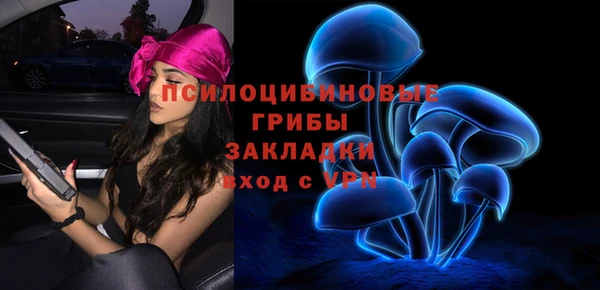 MESCALINE Покачи