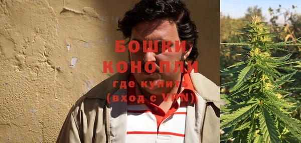 винт Пересвет
