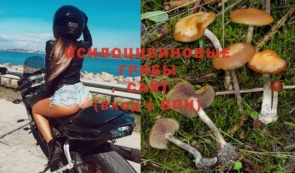 MESCALINE Покачи