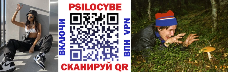 продажа наркотиков  Порхов  Псилоцибиновые грибы прущие грибы 